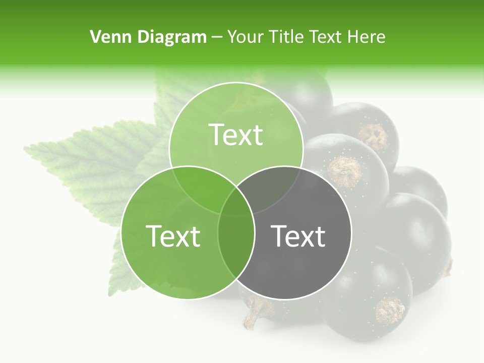 A Bunch Of Black Berries With Leaves On A White Background PowerPoint Template