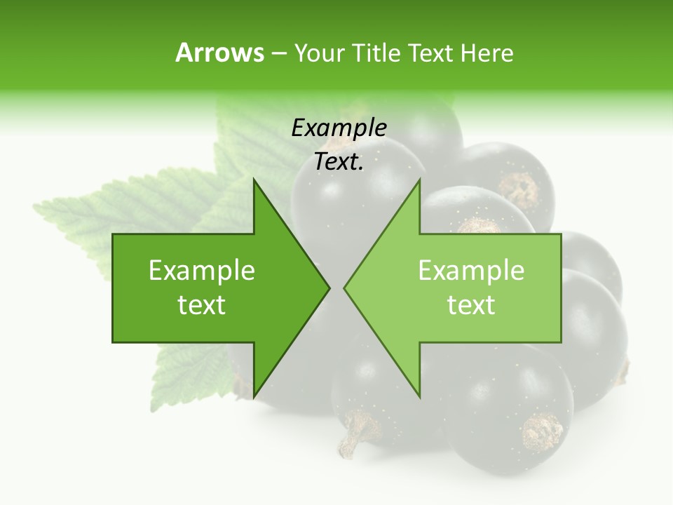 A Bunch Of Black Berries With Leaves On A White Background PowerPoint Template