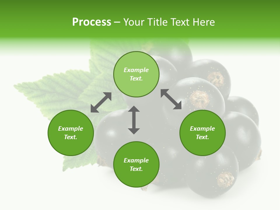 A Bunch Of Black Berries With Leaves On A White Background PowerPoint Template