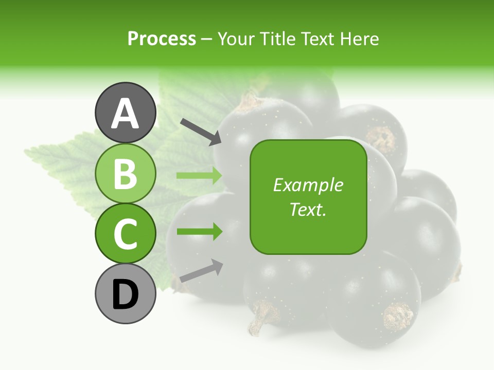 A Bunch Of Black Berries With Leaves On A White Background PowerPoint Template