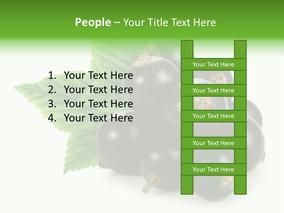 A Bunch Of Black Berries With Leaves On A White Background PowerPoint Template