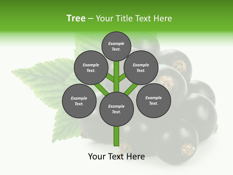 A Bunch Of Black Berries With Leaves On A White Background PowerPoint Template