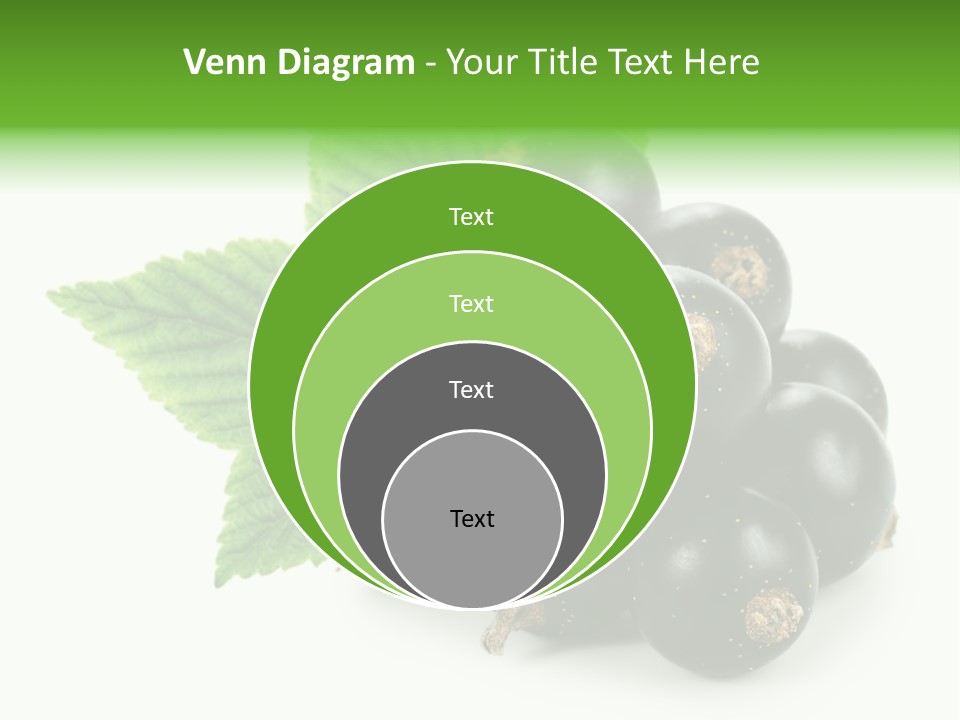 A Bunch Of Black Berries With Leaves On A White Background PowerPoint Template