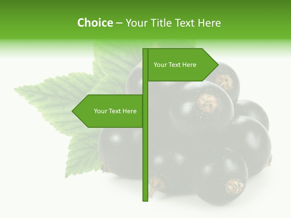 A Bunch Of Black Berries With Leaves On A White Background PowerPoint Template