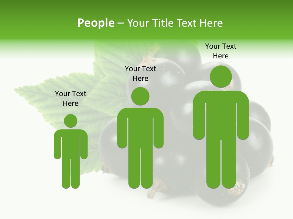 A Bunch Of Black Berries With Leaves On A White Background PowerPoint Template