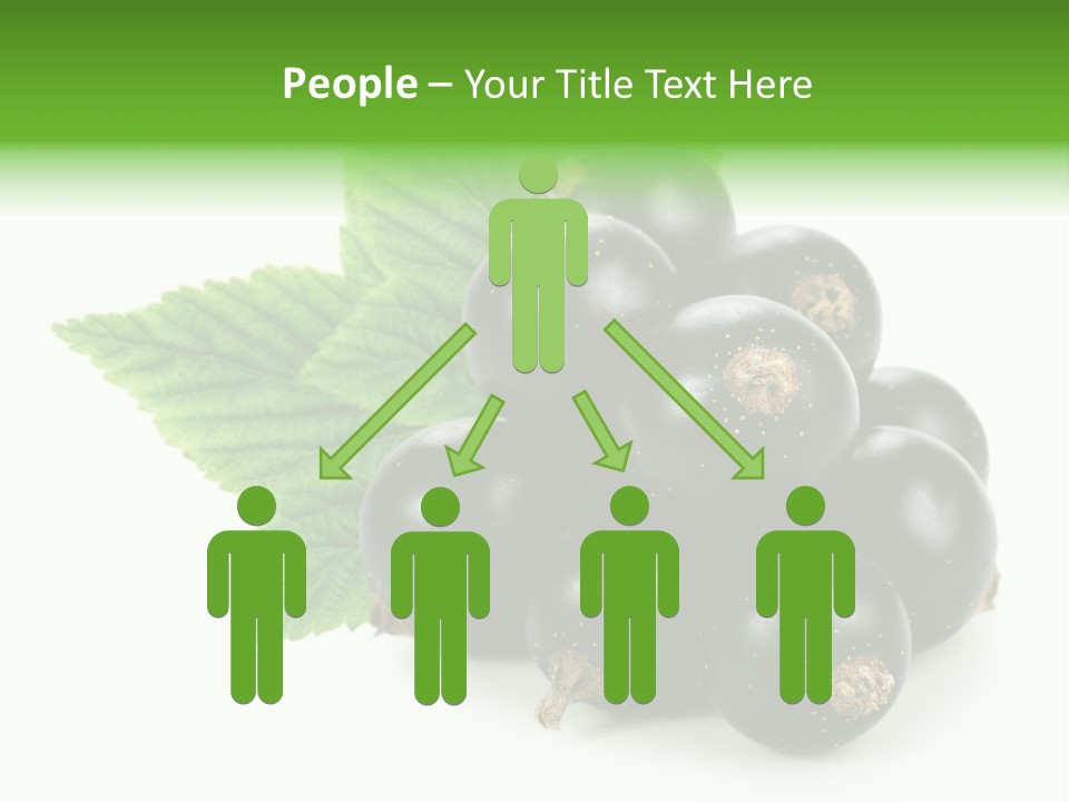 A Bunch Of Black Berries With Leaves On A White Background PowerPoint Template