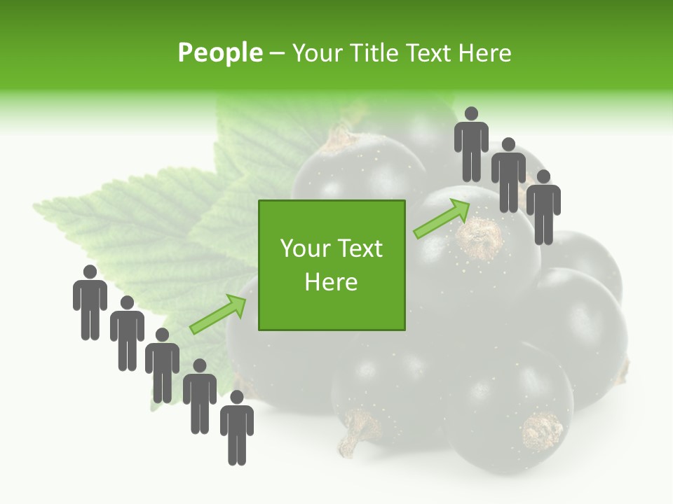 A Bunch Of Black Berries With Leaves On A White Background PowerPoint Template
