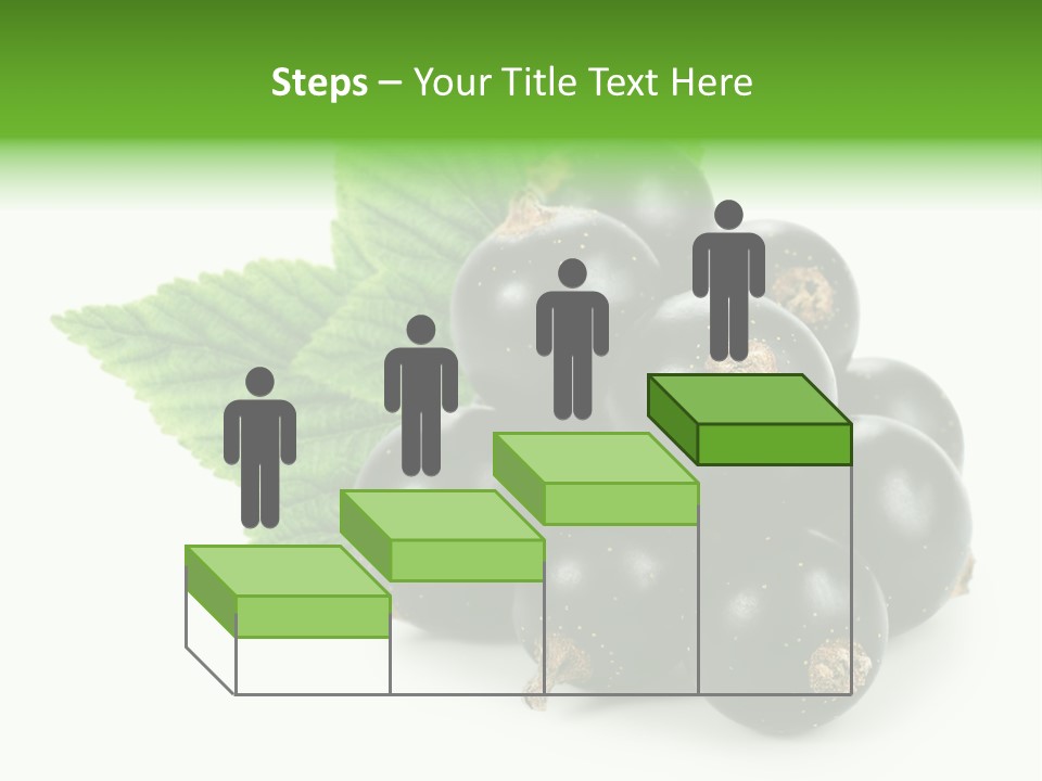 A Bunch Of Black Berries With Leaves On A White Background PowerPoint Template