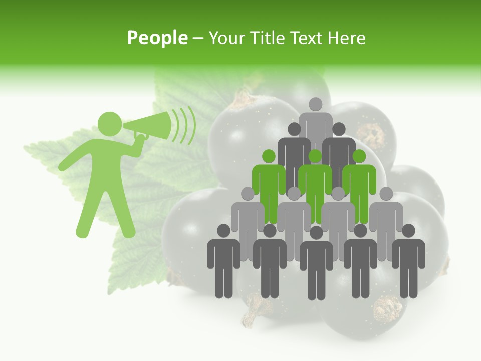 A Bunch Of Black Berries With Leaves On A White Background PowerPoint Template