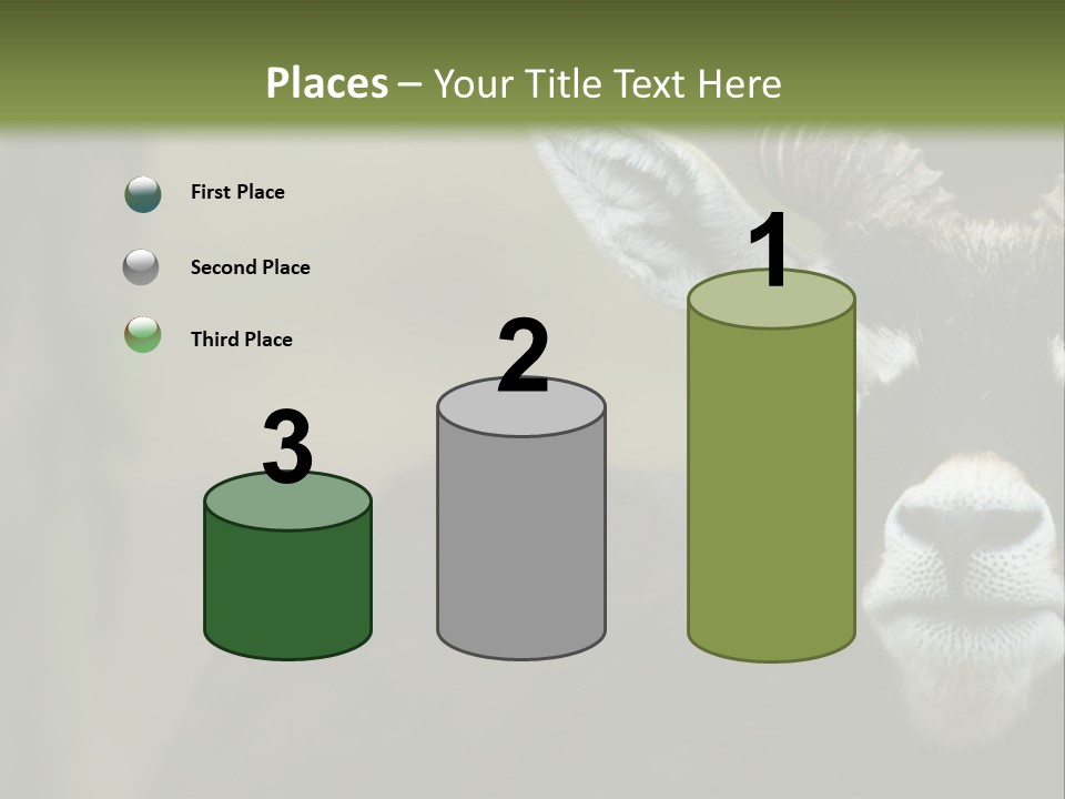 A Goat Standing Next To A Tree In A Field PowerPoint Template