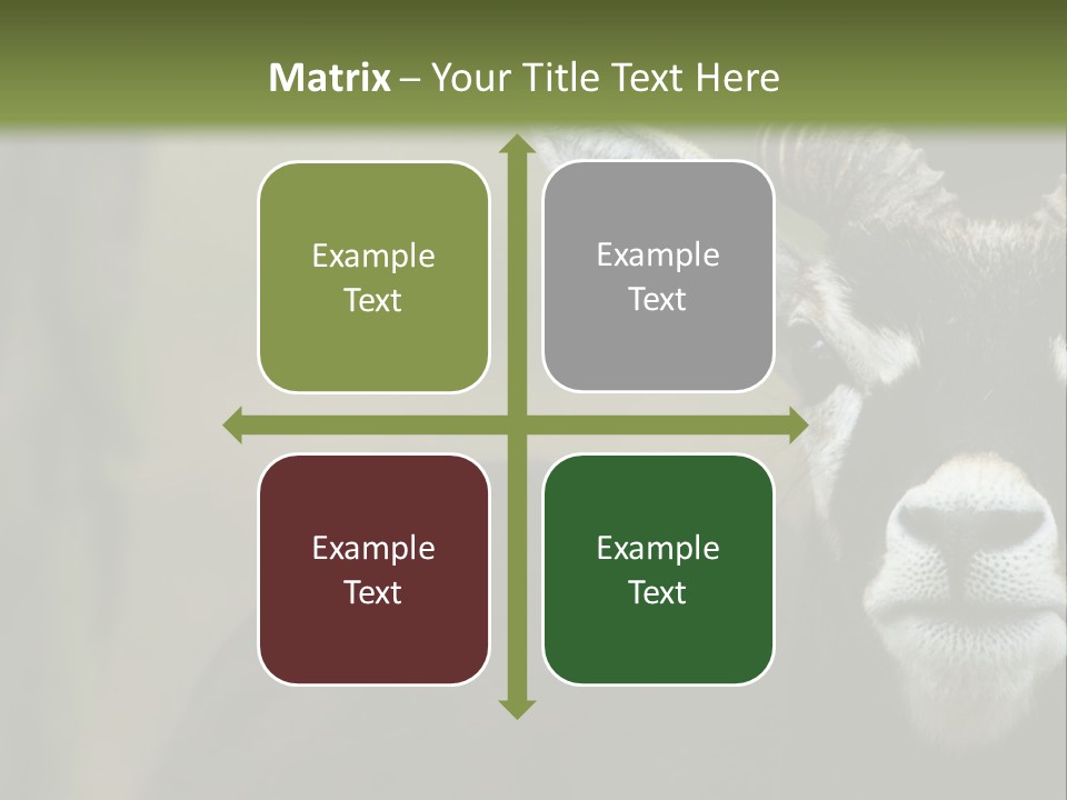 A Goat Standing Next To A Tree In A Field PowerPoint Template