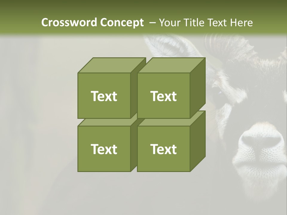 A Goat Standing Next To A Tree In A Field PowerPoint Template
