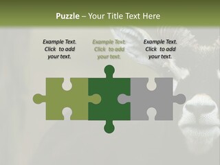 A Goat Standing Next To A Tree In A Field PowerPoint Template