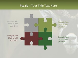 A Goat Standing Next To A Tree In A Field PowerPoint Template