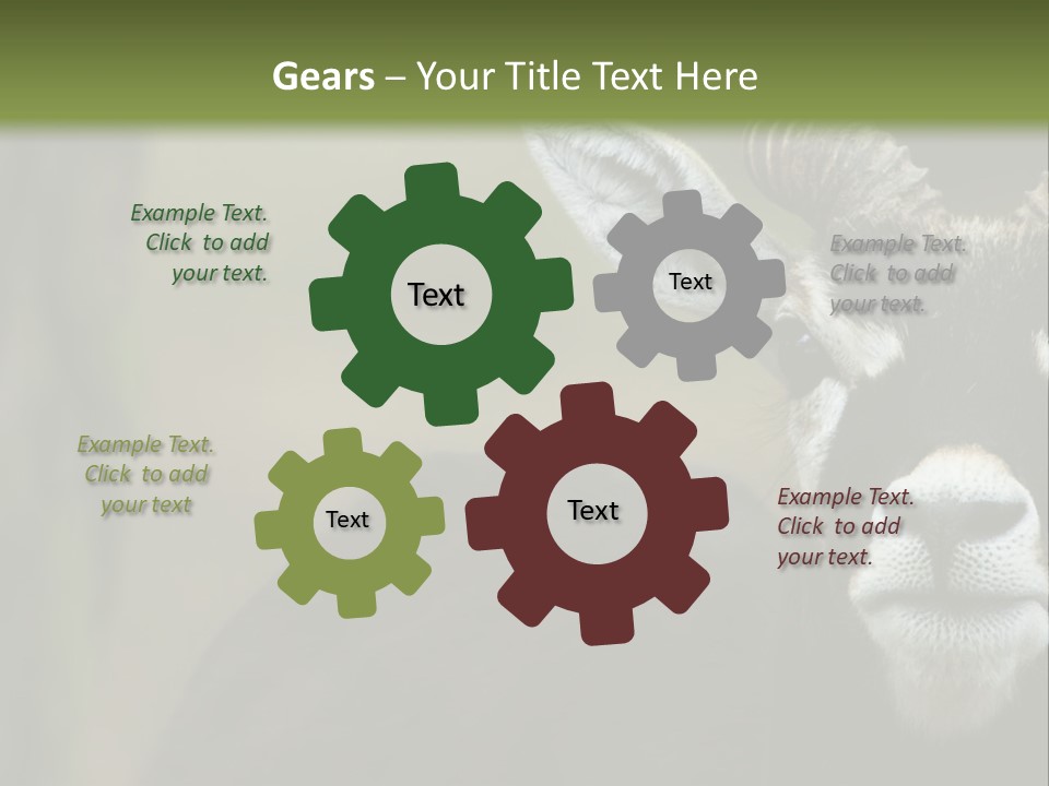 A Goat Standing Next To A Tree In A Field PowerPoint Template