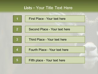 A Goat Standing Next To A Tree In A Field PowerPoint Template