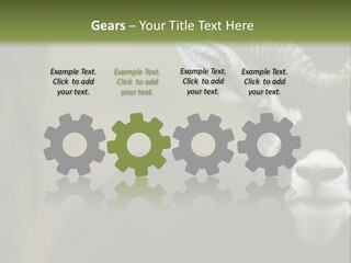 A Goat Standing Next To A Tree In A Field PowerPoint Template