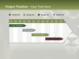 A Goat Standing Next To A Tree In A Field PowerPoint Template