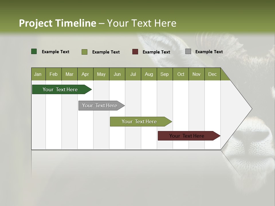 A Goat Standing Next To A Tree In A Field PowerPoint Template