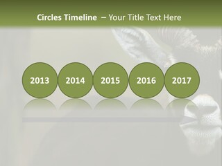 A Goat Standing Next To A Tree In A Field PowerPoint Template