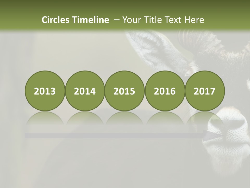 A Goat Standing Next To A Tree In A Field PowerPoint Template