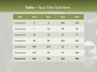 A Goat Standing Next To A Tree In A Field PowerPoint Template