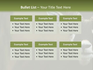 A Goat Standing Next To A Tree In A Field PowerPoint Template