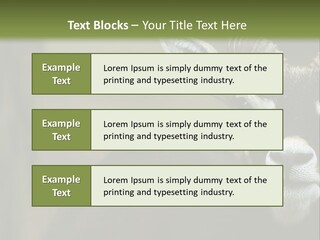 A Goat Standing Next To A Tree In A Field PowerPoint Template