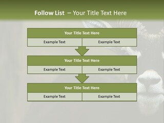 A Goat Standing Next To A Tree In A Field PowerPoint Template
