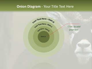 A Goat Standing Next To A Tree In A Field PowerPoint Template