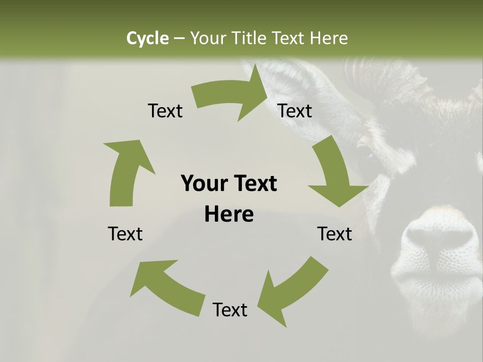 A Goat Standing Next To A Tree In A Field PowerPoint Template