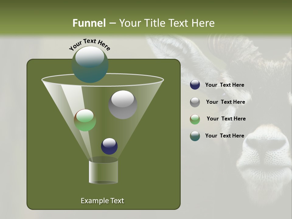 A Goat Standing Next To A Tree In A Field PowerPoint Template