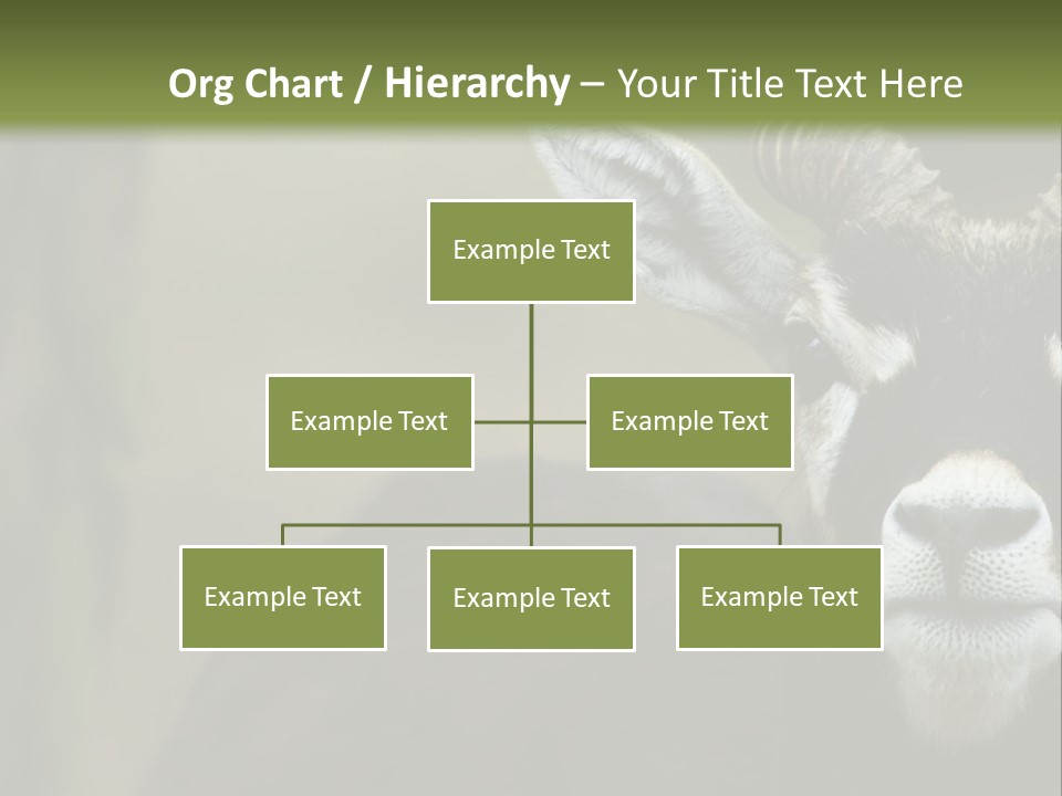 A Goat Standing Next To A Tree In A Field PowerPoint Template