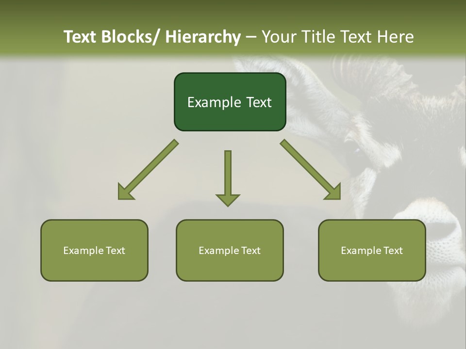 A Goat Standing Next To A Tree In A Field PowerPoint Template