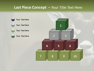 A Goat Standing Next To A Tree In A Field PowerPoint Template