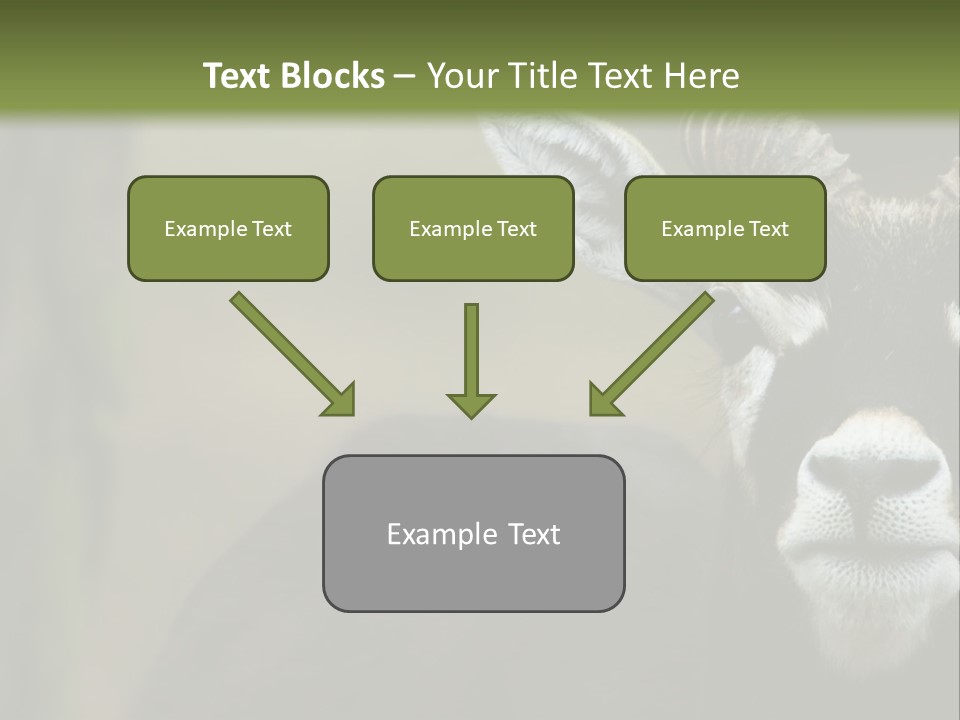 A Goat Standing Next To A Tree In A Field PowerPoint Template