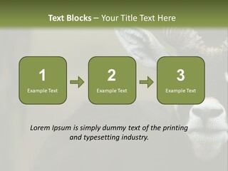 A Goat Standing Next To A Tree In A Field PowerPoint Template