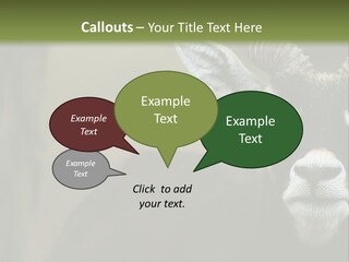 A Goat Standing Next To A Tree In A Field PowerPoint Template