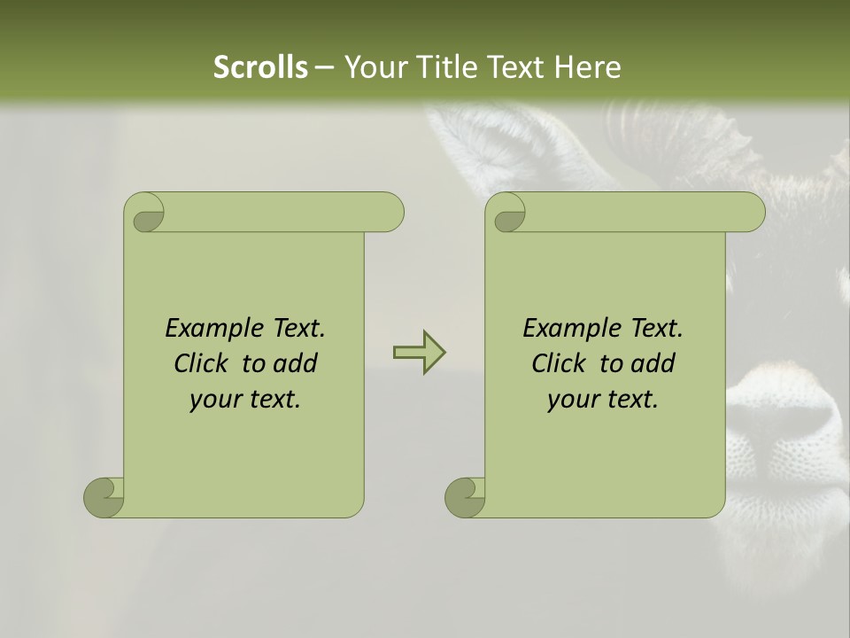 A Goat Standing Next To A Tree In A Field PowerPoint Template