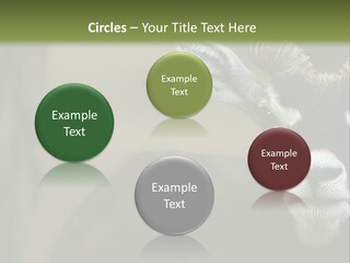 A Goat Standing Next To A Tree In A Field PowerPoint Template