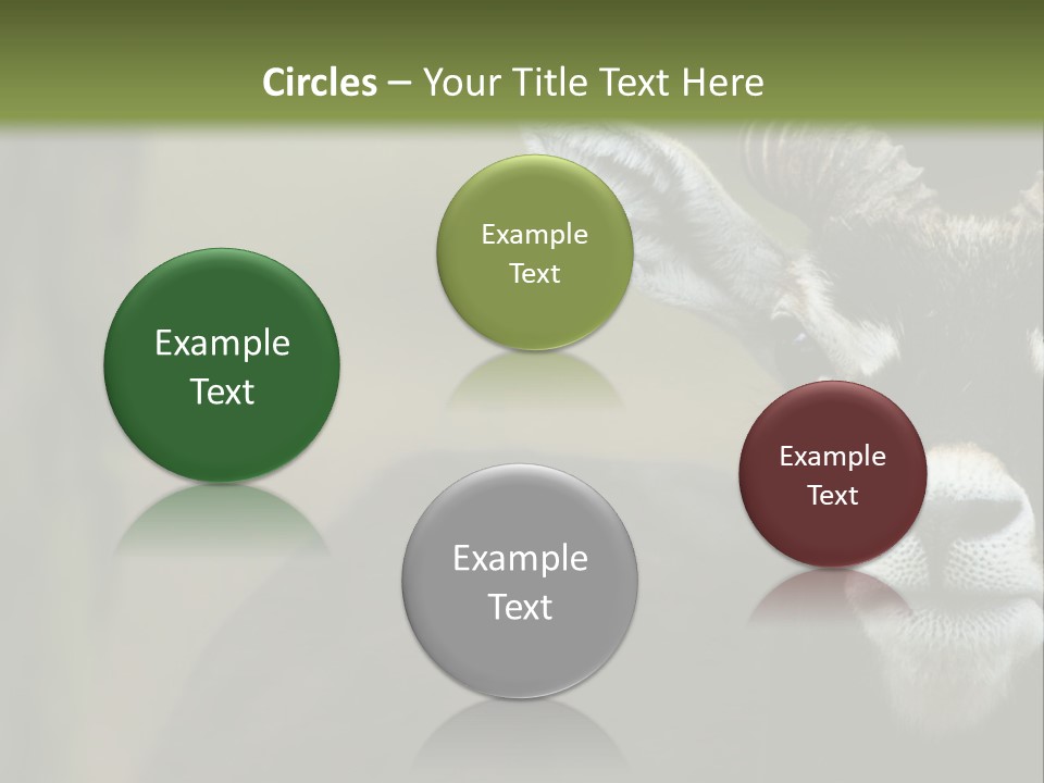 A Goat Standing Next To A Tree In A Field PowerPoint Template