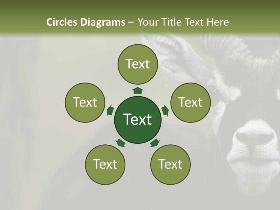 A Goat Standing Next To A Tree In A Field PowerPoint Template