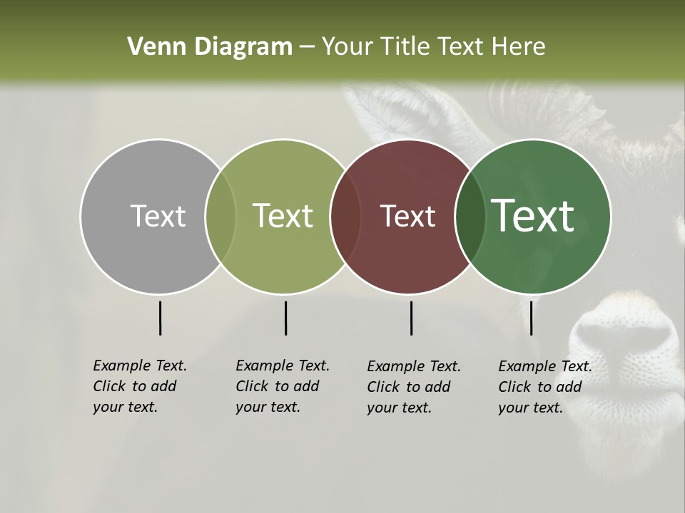 A Goat Standing Next To A Tree In A Field PowerPoint Template