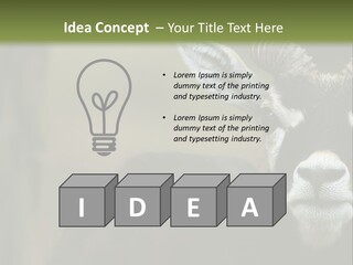 A Goat Standing Next To A Tree In A Field PowerPoint Template