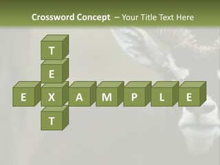 A Goat Standing Next To A Tree In A Field PowerPoint Template