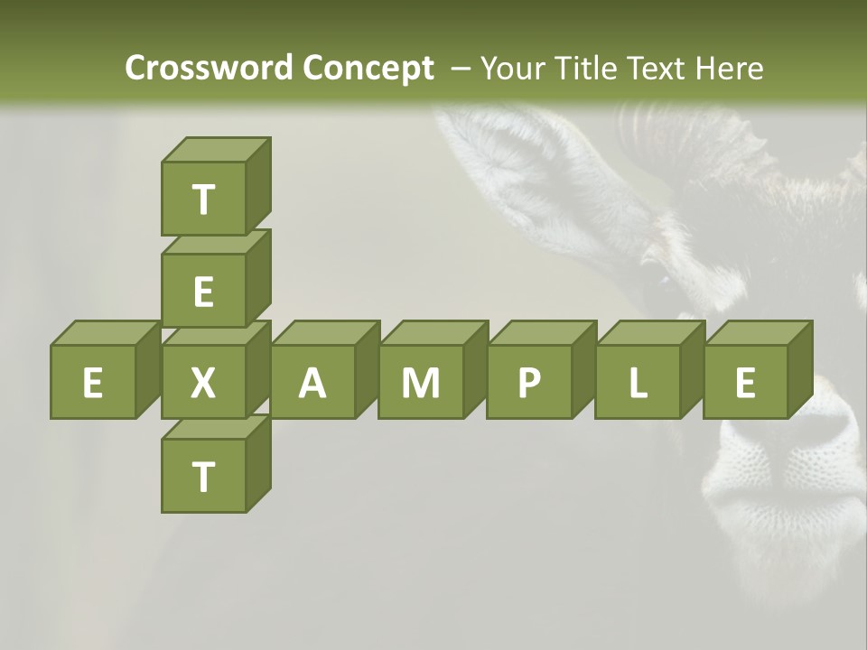 A Goat Standing Next To A Tree In A Field PowerPoint Template