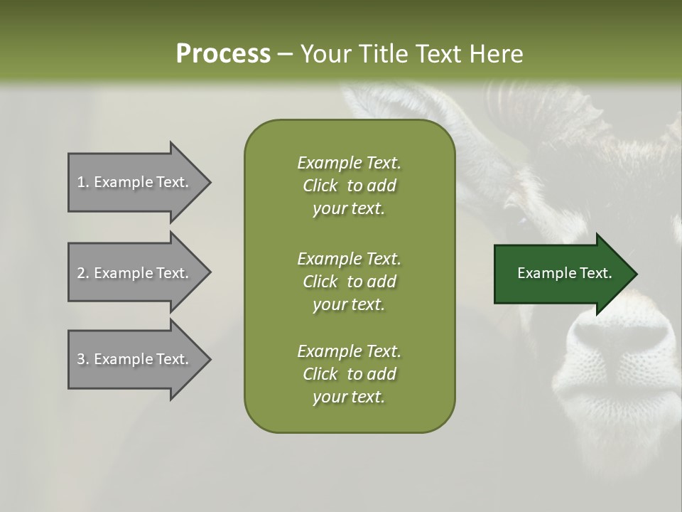 A Goat Standing Next To A Tree In A Field PowerPoint Template