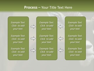 A Goat Standing Next To A Tree In A Field PowerPoint Template