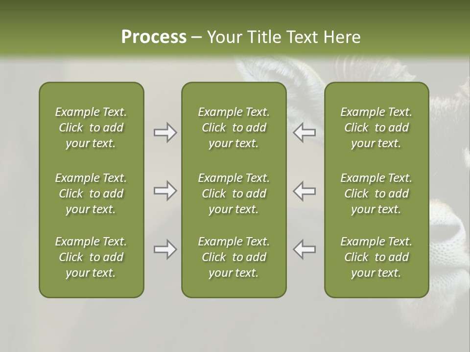 A Goat Standing Next To A Tree In A Field PowerPoint Template