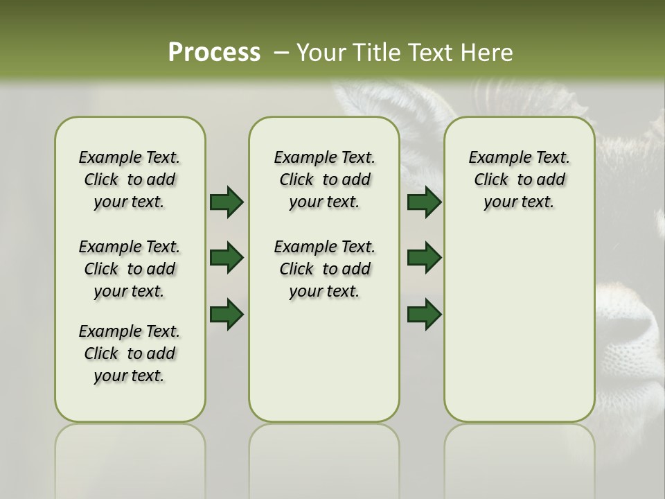 A Goat Standing Next To A Tree In A Field PowerPoint Template